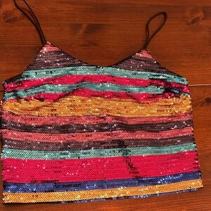 Wayf Multicolor Sequin Striped Camisole